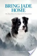 Ramenez Jade à la maison : l'histoire vraie d'un chien perdu à Yellowstone - Bring Jade Home: The True Story of a Dog Lost in Yellowstone