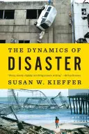 La dynamique de la catastrophe - The Dynamics of Disaster