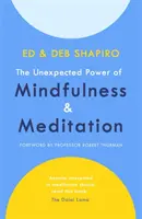 Le pouvoir inattendu de la pleine conscience et de la méditation - Unexpected Power of Mindfulness and Meditation