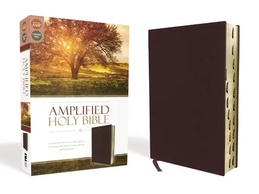 Amplified-Am : Un livre de coloriage inspirant pour soulager le stress et stimuler la créativité - Amplified-Am: Captures the Full Meaning Behind the Original Greek and Hebrew