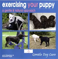 Exercer son chiot - Exercising Your Puppy