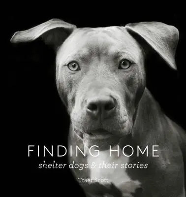 Les chiens de refuge et leurs histoires (un hommage photographique aux chiens de sauvetage) - Finding Home: Shelter Dogs and Their Stories (a Photographic Tribute to Rescue Dogs)