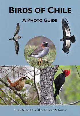 Les oiseaux du Chili : Guide photo - Birds of Chile: A Photo Guide