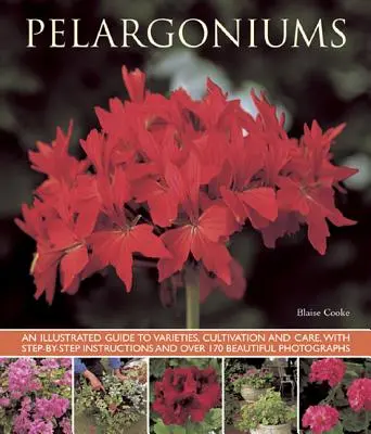 Pélargoniums : Un guide illustré des variétés, de la culture et des soins, avec des instructions pas à pas et plus de 170 belles photographies. - Pelargoniums: An Illustrated Guide to Varieties, Cultivation and Care, with Step-By-Step Instructions and Over 170 Beautiful Photogr