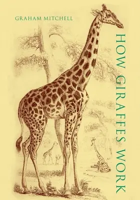 Comment fonctionnent les girafes - How Giraffes Work