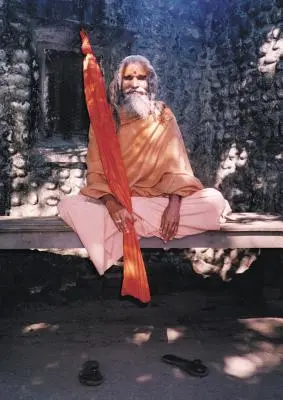 Dandi Swami : L'histoire de la volonté du gourou, de Maharishi Mahesh Yogi, des Shankaracharyas de Jyotir Math et des rencontres avec Dandi Swami N - Dandi Swami: The Story of the Guru's Will, Maharishi Mahesh Yogi, the Shankaracharyas of Jyotir Math, & Meetings with Dandi Swami N