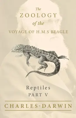 Reptiles - Partie V - La zoologie du voyage du H.M.S Beagle - Reptiles - Part V - The Zoology of the Voyage of H.M.S Beagle
