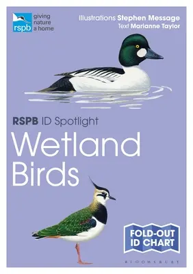 Rspb Id Spotlight - Oiseaux des zones humides - Rspb Id Spotlight - Wetland Birds