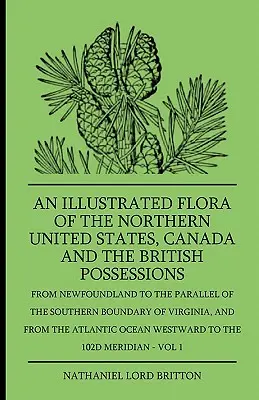 Une flore illustrée du nord des États-Unis, du Canada et des possessions britanniques - de Terre-Neuve au parallèle de la frontière méridionale des États-Unis. - An Illustrated Flora Of The Northern United States, Canada And The British Possessions - From Newfoundland To The Parallel Of The Southern Boundary Of
