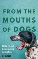 De la bouche des chiens : ce que nos animaux de compagnie nous apprennent sur la vie, la mort et l'humanité - From the Mouths of Dogs: What Our Pets Teach Us about Life, Death, and Being Human