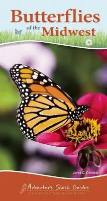 Papillons du Midwest : Identifier facilement les papillons - Butterflies of the Midwest: Identify Butterflies with Ease