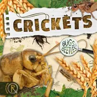 Grillons - Crickets