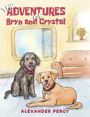 Les aventures de Bryn et Crystal - The Adventures of Bryn and Crystal