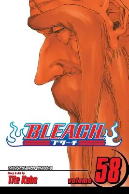 Bleach, Tome 58, 58 - Bleach, Vol. 58, 58