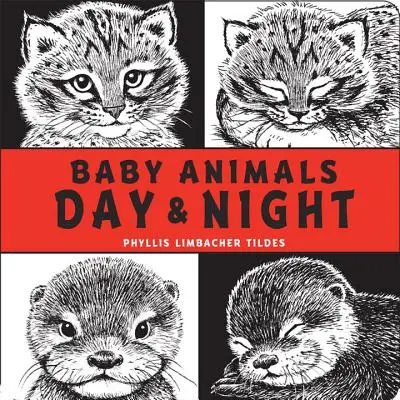 Bébés Animaux Jour et Nuit - Baby Animals Day & Night