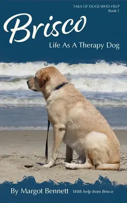 Brisco, la vie d'un chien de thérapie - Brisco, Life As A Therapy Dog