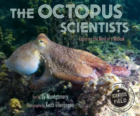 Les scientifiques de la pieuvre - The Octopus Scientists