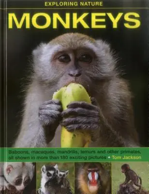 Exploration de la nature : Les singes - Exploring Nature: Monkeys