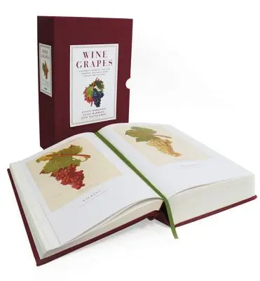 Les raisins de cuve : Un guide complet des 1 368 variétés de vignes, avec leurs origines et leurs saveurs - Wine Grapes: A Complete Guide to 1,368 Vine Varieties, Including Their Origins and Flavours