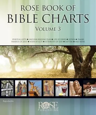 Livre rose des tableaux bibliques, volume 3 - Rose Book of Bible Charts, Volume 3