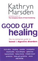 Good Gut Healing - The no-nonsense guide to bowel & digestive disorders (La guérison des intestins - Le guide pratique des troubles intestinaux et digestifs) - Good Gut Healing - The no-nonsense guide to bowel & digestive disorders