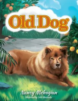 Vieux chien - Old Dog