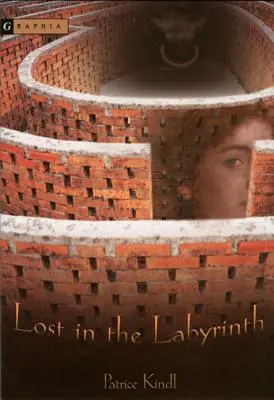 Perdu dans le labyrinthe - Lost in the Labyrinth