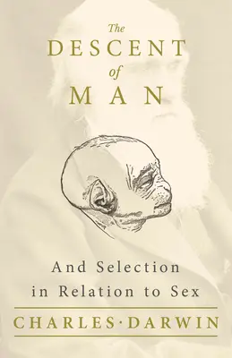 La descendance de l'homme et la sélection en fonction du sexe - The Descent of Man - And Selection in Relation to Sex