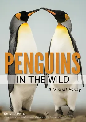 Les pingouins dans la nature - Penguins in the Wild