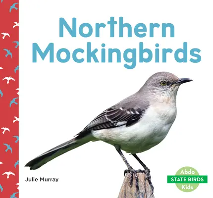 Oiseaux moqueurs du Nord - Northern Mockingbirds