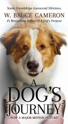 L'épopée d'un chien - Film à coupler - A Dog's Journey Movie Tie-In