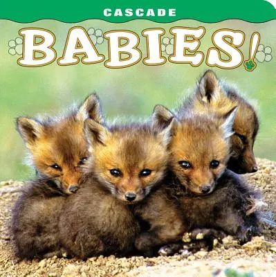 Cascade : Bébés ! - Cascade: Babies!