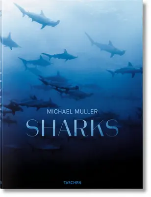 Michael Muller. Les requins - Michael Muller. Sharks