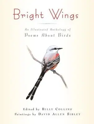 Bright Wings : Une anthologie illustrée de poèmes sur les oiseaux - Bright Wings: An Illustrated Anthology of Poems about Birds