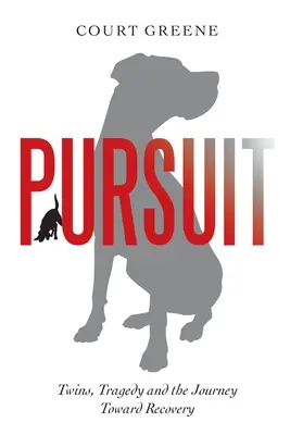 Pursuit : Les jumeaux, la tragédie et le voyage vers la guérison - Pursuit: Twins, Tragedy and the Journey Toward Recovery