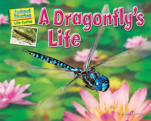 La vie d'une libellule - A Dragonfly's Life