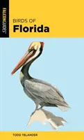 Oiseaux de Floride - Birds of Florida