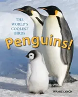 Les pingouins ! Les oiseaux les plus cool du monde - Penguins!: The World's Coolest Birds