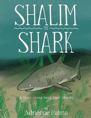 Shalim le requin - Shalim the Shark