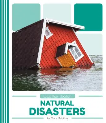 Catastrophes naturelles - Natural Disasters