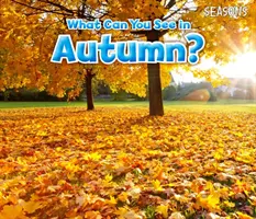 Que peut-on voir en automne ? - What Can You See In Autumn?