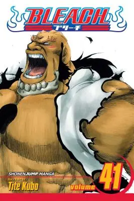 Bleach, Vol. 41, 41