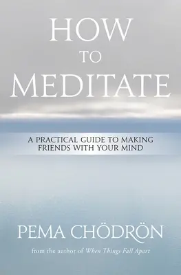 Comment méditer : Un guide pratique pour se lier d'amitié avec son esprit - How to Meditate: A Practical Guide to Making Friends with Your Mind