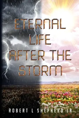 La vie éternelle après la tempête : Un livre sur le voyage d'un chrétien de la naissance à la vie éternelle - Eternal Life After The Storm: A Book of a Christian's Journey from Birth to Eternal Life