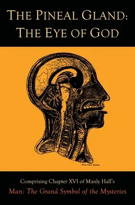 La glande pinéale : L'œil de Dieu - The Pineal Gland: The Eye of God