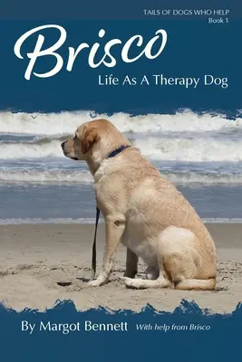 Brisco, la vie d'un chien de thérapie - Brisco, Life As A Therapy Dog