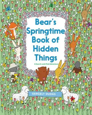 Le livre des choses cachées de l'ours au printemps - Bear's Springtime Book of Hidden Things