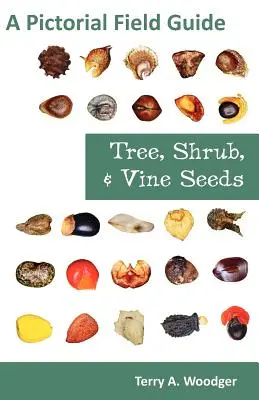Graines d'arbres, d'arbustes et de plantes grimpantes : Guide pratique illustré - Tree, Shrub, and Vine Seeds: A Pictorial Field Guide