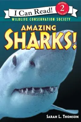 Des requins étonnants ! - Amazing Sharks!