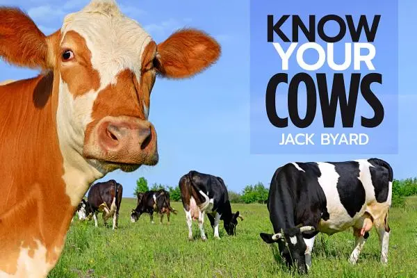 Connaître ses vaches - Know Your Cows